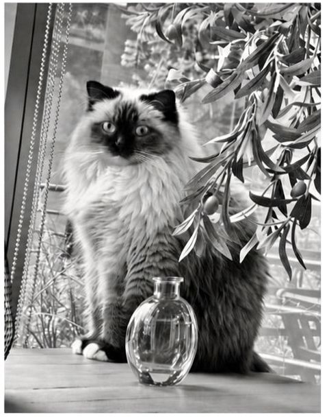 Portrait of Muffin Benning